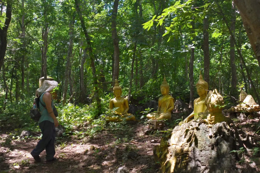 Gold Buddha statues in a forest