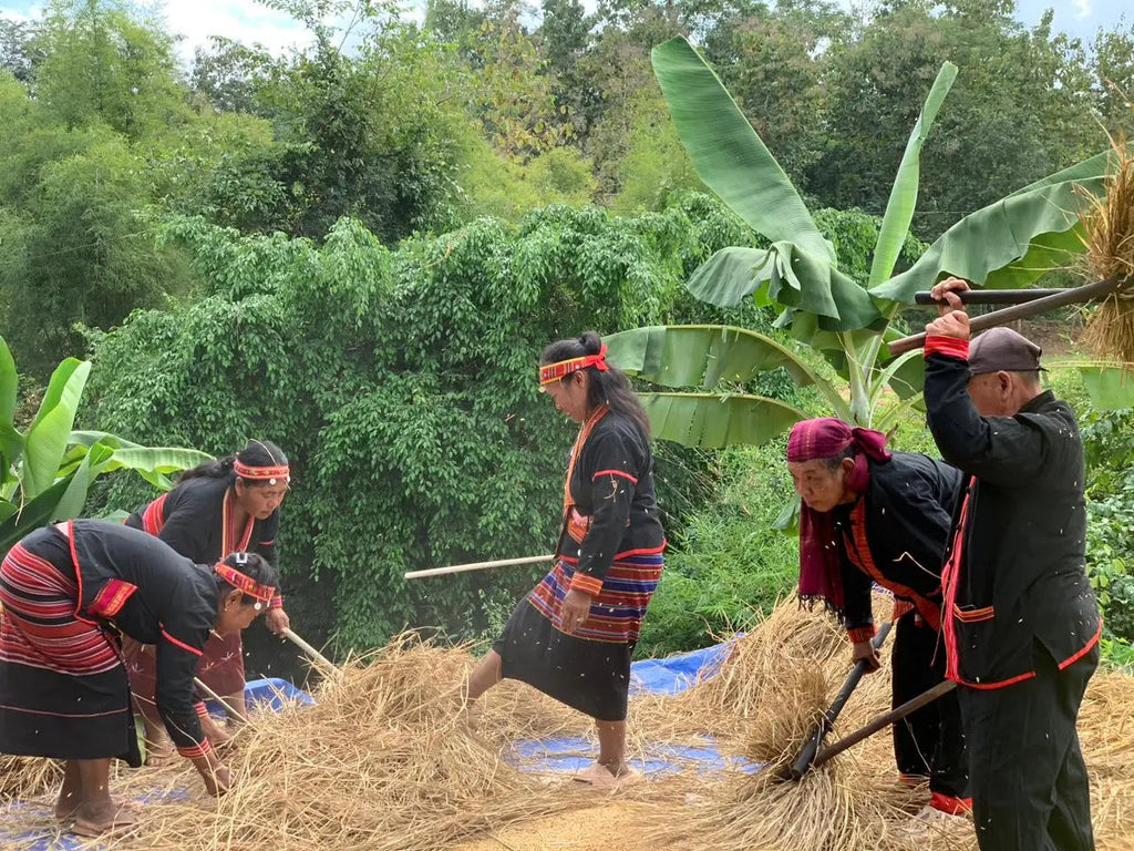 Group of people in traditional attire working with straw in a lush green outdoor setting