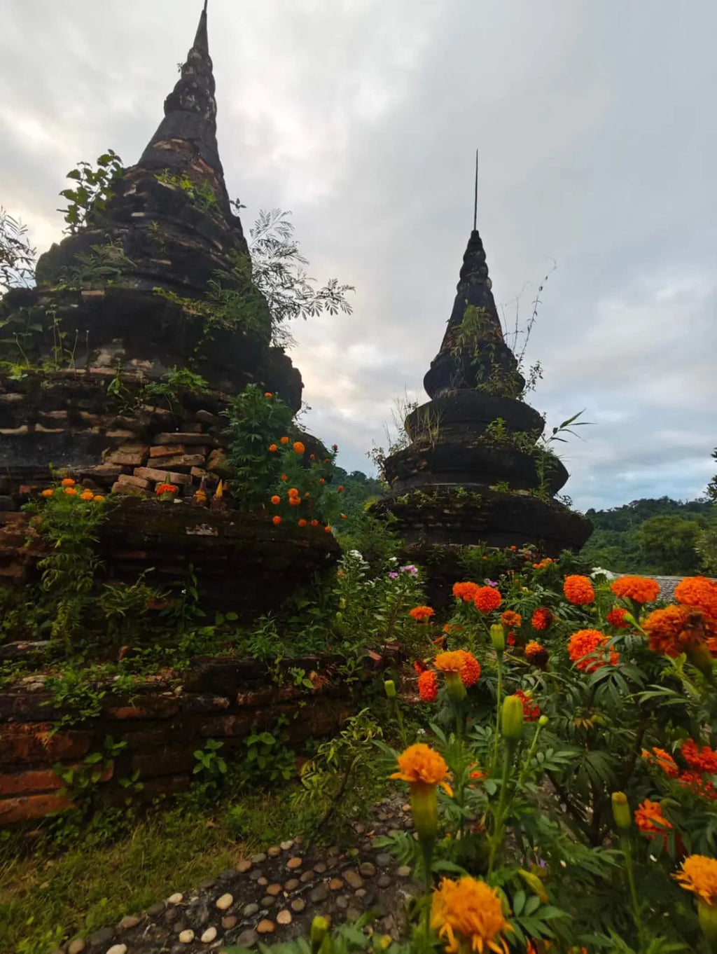 Two ancient stupas with orange flowers in the foreground under a cloudy sky.