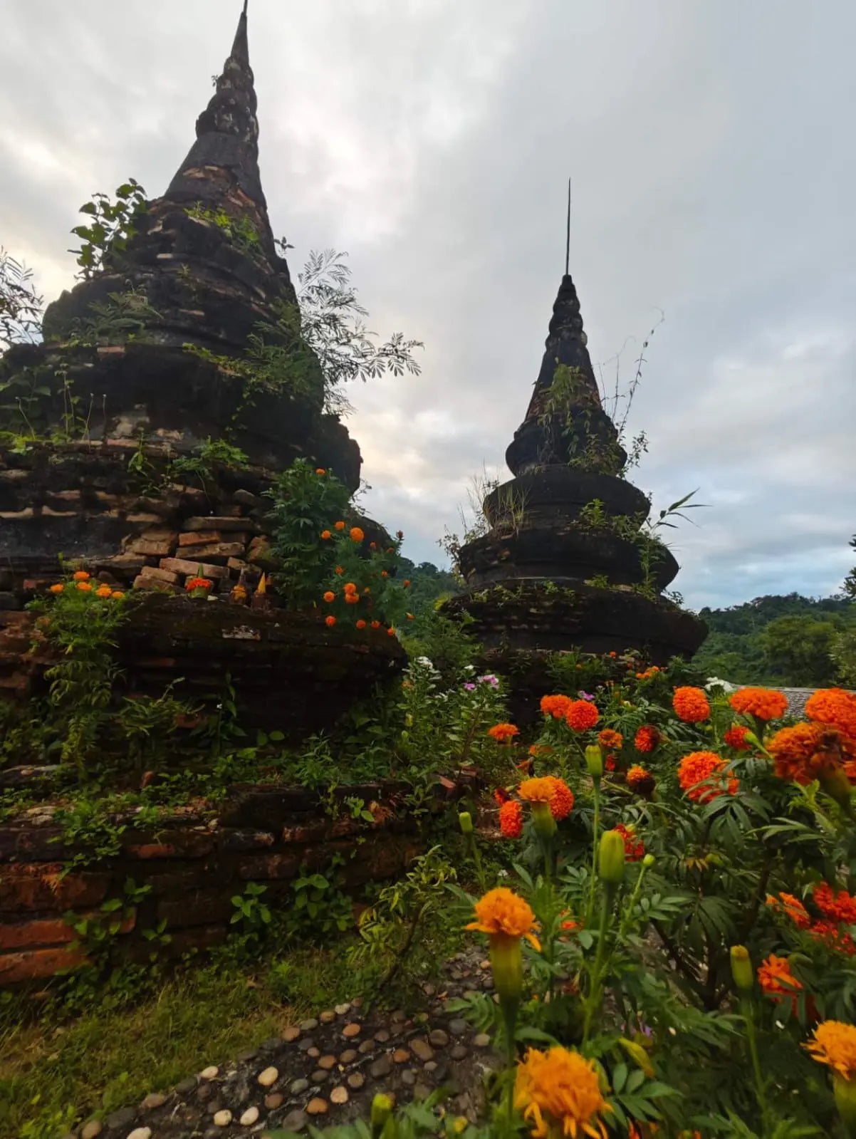 Two ancient stupas with orange flowers in the foreground under a cloudy sky.